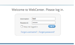 Image of XCEL Employee Portal for W2s